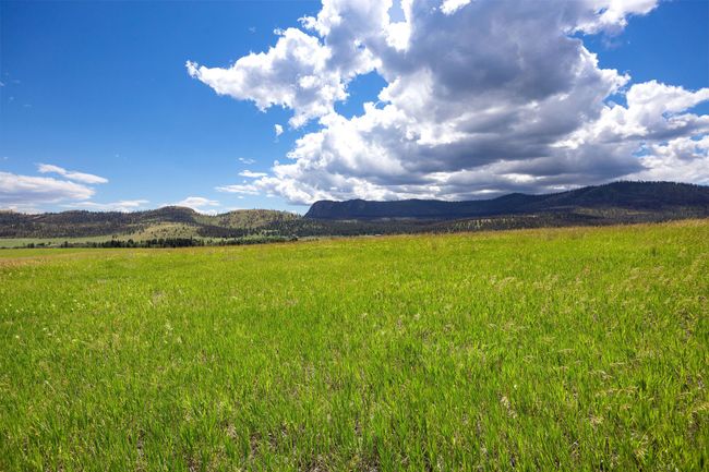 LOT-2C - NHN Lake Mary Ronan Road, Home with 0 bedrooms, 0 bathrooms and null parking in Dayton MT | Image 49