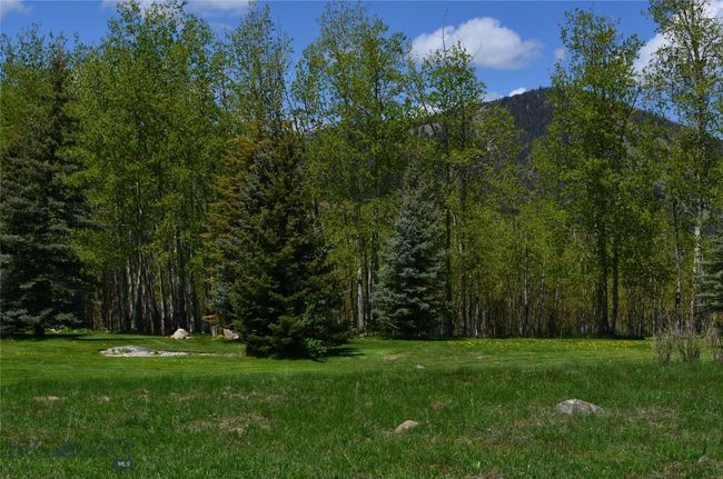 Trees on the property | Image 55