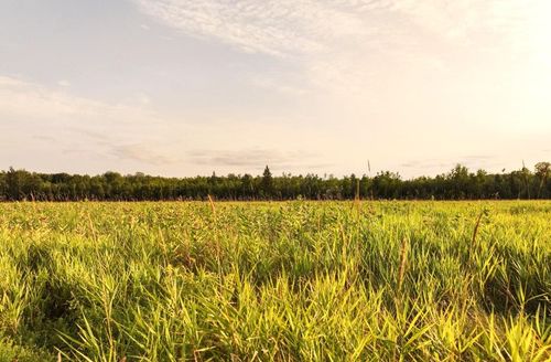 31-acres-ON Suring Ln, Argonne, WI, 54511 | Card Image