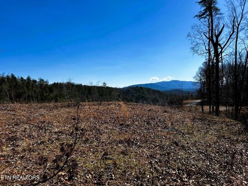 107/125 Chestnut Mountain Rd, Reliance, TN, 37369 | Card Image