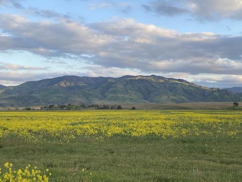 0 Panoche Road Pcl 1 Road, Other, CA, 95043 | Card Image