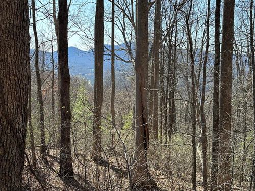 Lot 80 Asheland Cove Dr, Young Harris, GA, 30582 | Card Image