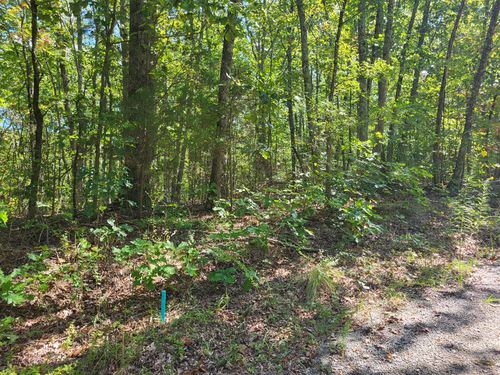 8 Strawberry Gables, Holladay, TN, 38341 | Card Image