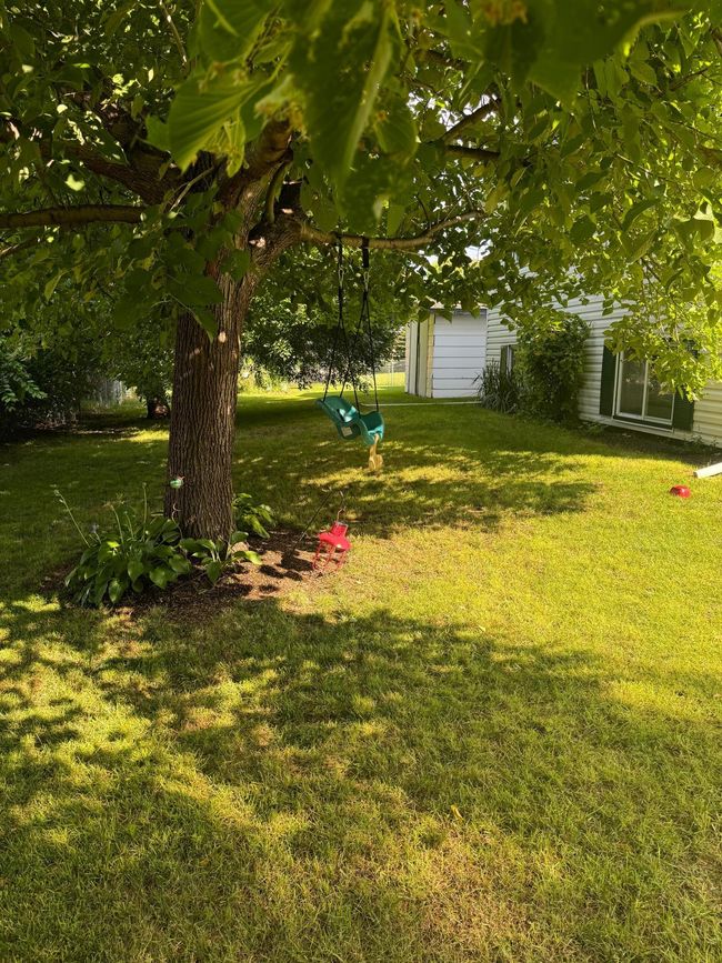 Backyard | Image 50