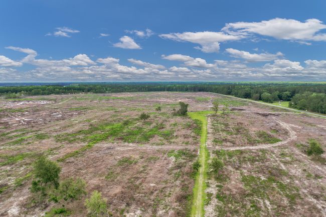 DJI_0481 | Image 11