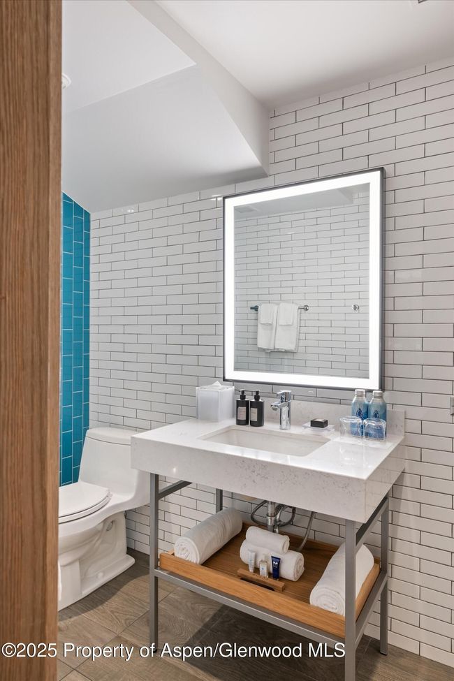 F10-1-10 - 550 S Spring St, Condo with 3 bedrooms, 4 bathrooms and 1 parking in Aspen CO | Image 40
