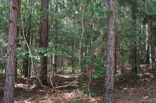 15150 15157, Highway 51 Acres, Ariton, AL, 36311 | Card Image