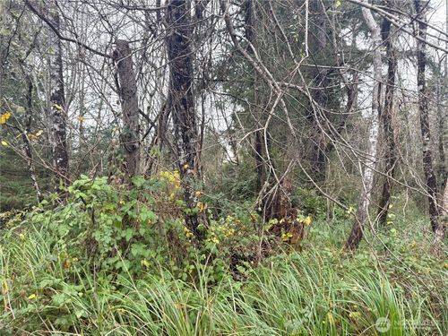 294 S Ln, Ocean Park, WA, 98640 | Card Image