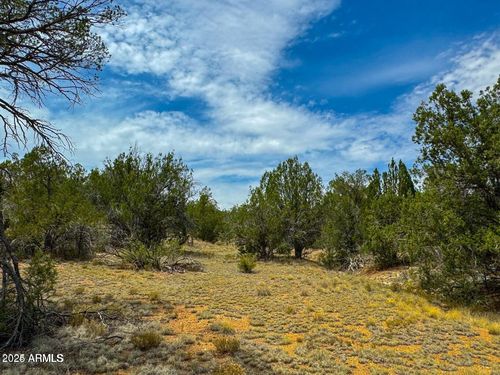 1908-32424 W Camino Oso --, Seligman, AZ, 86337 | Card Image