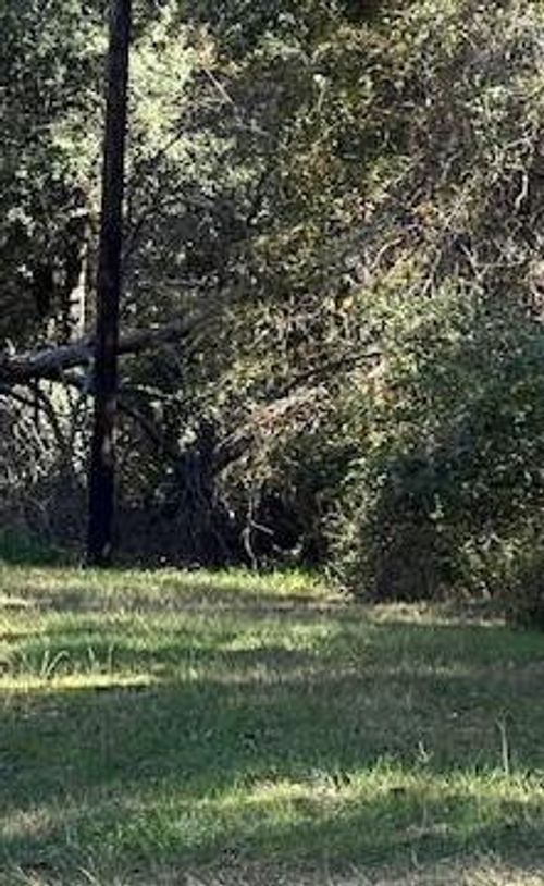 lot 24 Clark Rd, Plantersville, TX, 77363 | Card Image