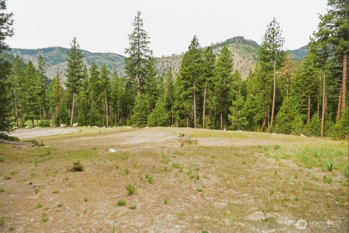 Land in Entiat 5