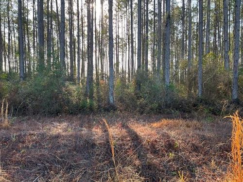 12 Douglas Landing Rd, Wewahitchka, FL, 32465 | Card Image