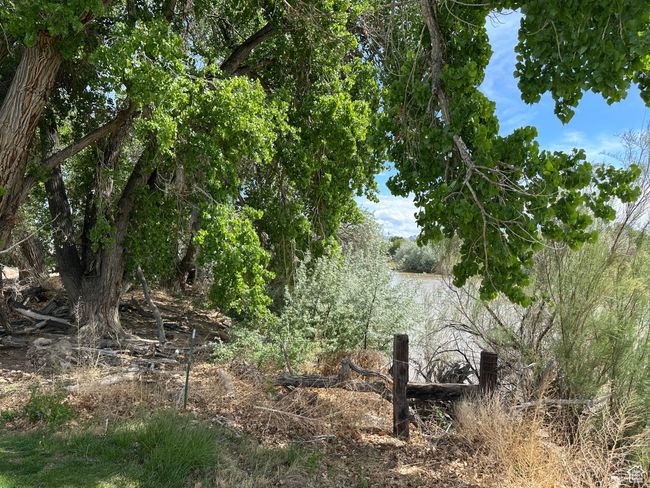 View of undeveloped land | Image 14