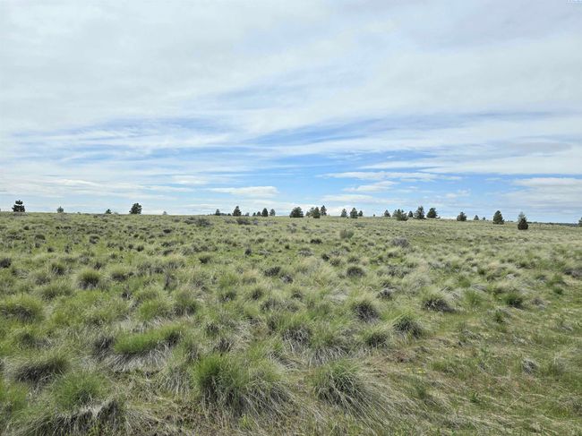 183 Middle Rd, Home with 0 bedrooms, 0 bathrooms and null parking in Bickleton WA | Image 5