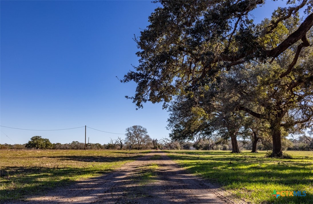 Farm in Edna 2