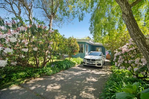 {{alt}} | Card Image