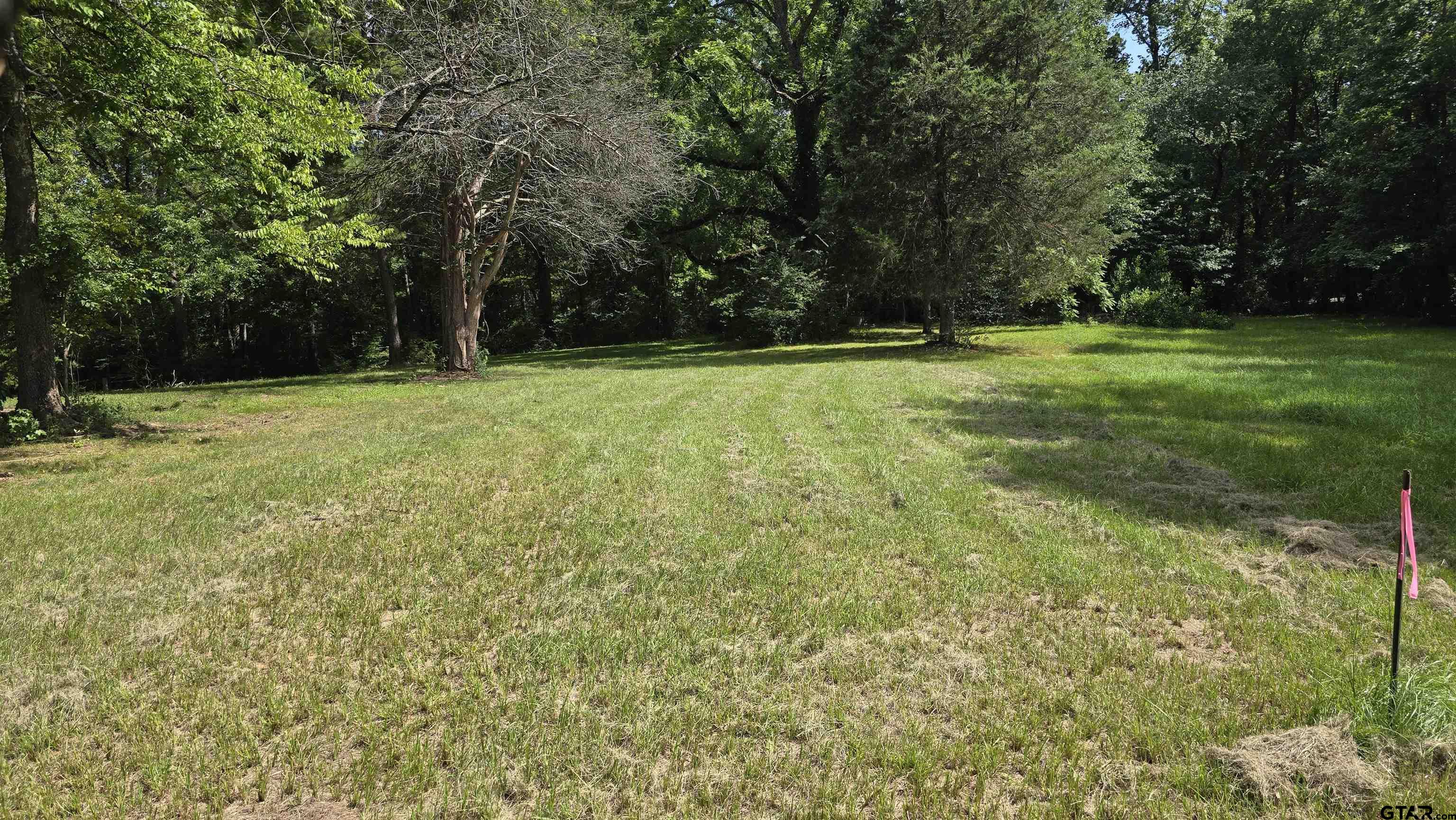 Land in Arp