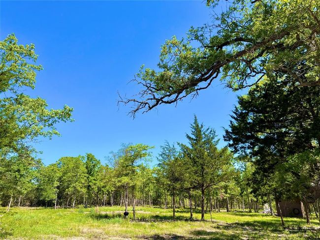 357 Oak Holw, Home with 0 bedrooms, 0 bathrooms and null parking in Caldwell TX | Image 9