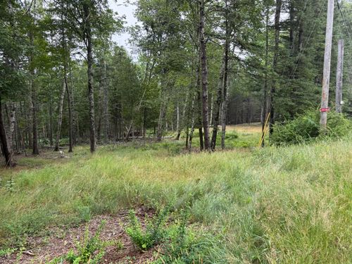 1236 Meadow Pond Rd, Islesboro, ME, 04848-4055 | Card Image