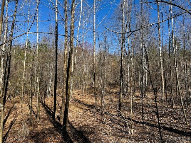 30.19 Acres (Off Of) Belvedere Dr, Home with 0 bedrooms, 0 bathrooms and null parking in Fieldale VA | Image 19