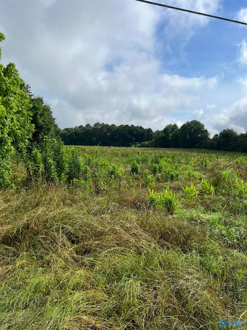 275 Highland Drive, Arab, AL, 35016 | Card Image