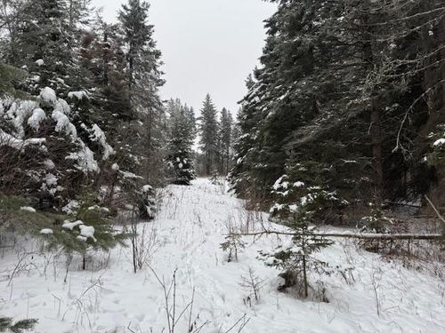 TBD County Road 4, Spring Lake, MN, 56680 | Card Image