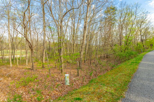 0 Old Rockey Trl, Home with 0 bedrooms, 0 bathrooms and null parking in Rising Fawn GA | Image 9