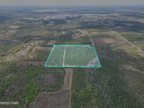 37 Acres Melvin Rd, Clarksville, FL, 32430 | Card Image