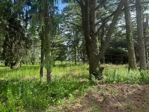 VL - LOT A Rawson Ln, Vicksburg, MI, 49097 | Card Image