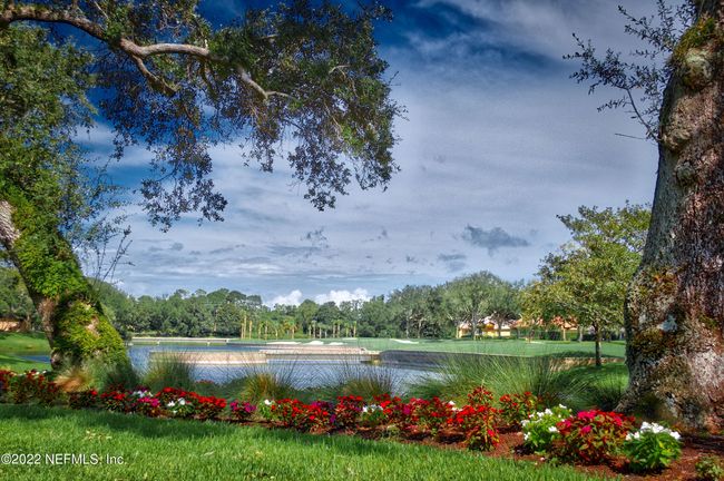 112 Cannon Ct W, House other with 4 bedrooms, 4 bathrooms and null parking in Ponte Vedra Beach FL | Image 70