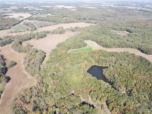 199 Route K & Route Cc, Monroe City, MO, 63456 | Card Image