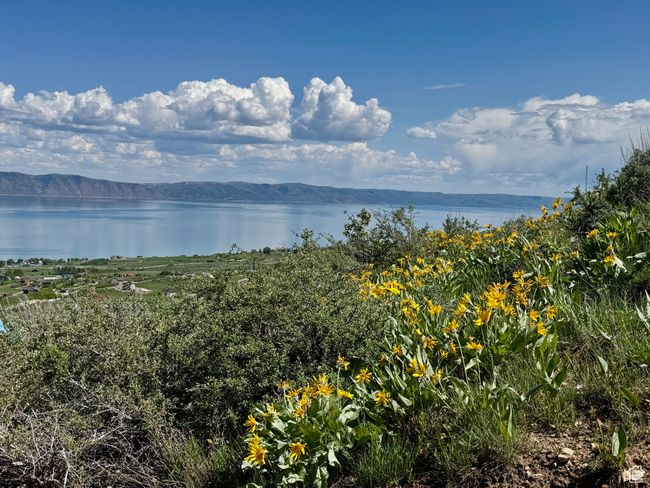 Water view from side of home featuring mountains | Image 4
