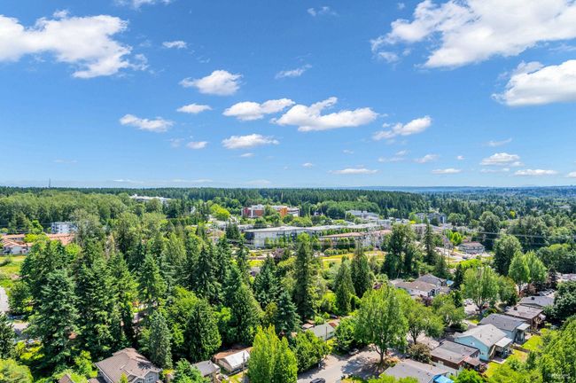 Aerial perspective of suburban area with a forest | Image 22
