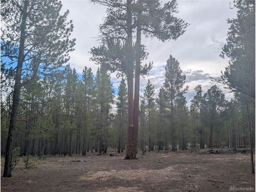 663 Spruce Dr, Twin Lakes, CO, 81251 | Card Image
