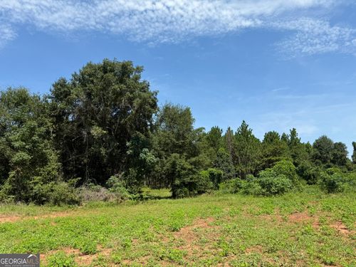 057 Benevolence Hwy, Lumpkin, GA, 39815 | Card Image