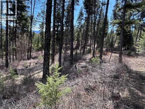 Lot 4 Hulme Creek Road, Rock Creek, BC, V0H1Y0 | Card Image