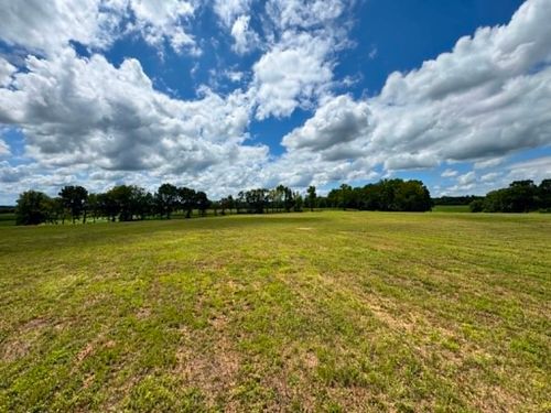 0 Ben Armstrong Rd, Castalian Springs, TN, 37031 | Card Image