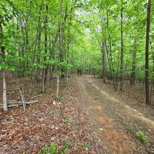3.5acre Dusty Trail, Morganton, GA, 30560 | Card Image