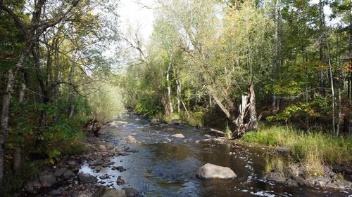 1, 4-18 Montreal Landing Dr N, Hurley, WI, 54534 | Card Image