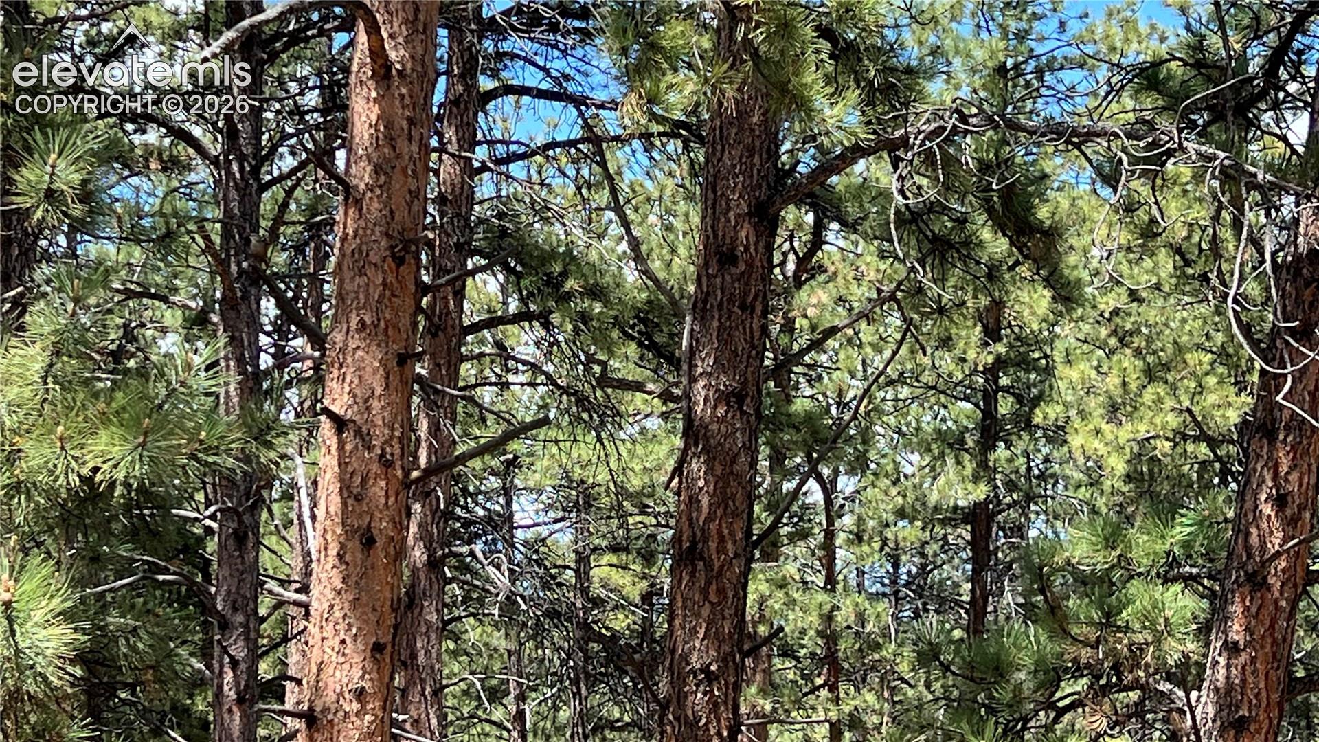 Land in Westcliffe 3