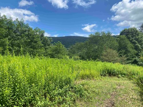 Lot 133 Sunset Mountain Village Drive, Slaty Fork, WV, 26291 | Card Image