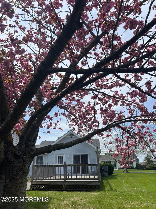 465 Adrian Ave, House other with 2 bedrooms, 2 bathrooms and null parking in Oceanport NJ | Image 13