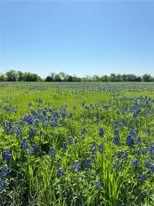 5 Fm 308 Road, Penelope, TX, 76676 | Card Image