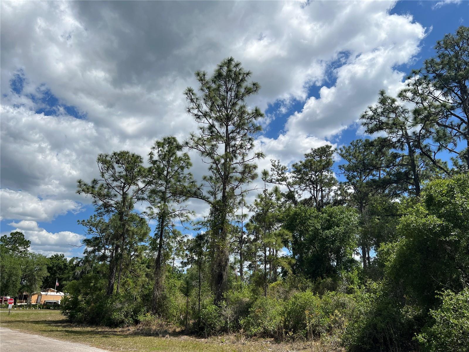 Land in INDIAN LAKE ESTATES 2