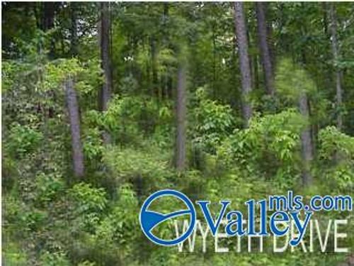 40 & 41 Wyeth Dr, Guntersville, AL, 35976 | Card Image