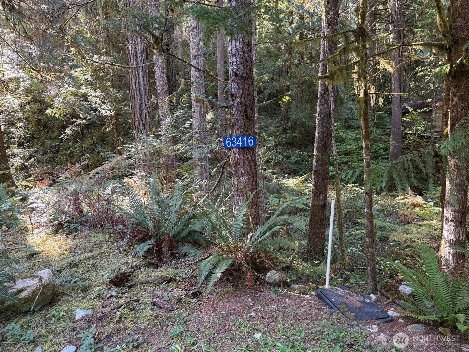 Land in Marblemount