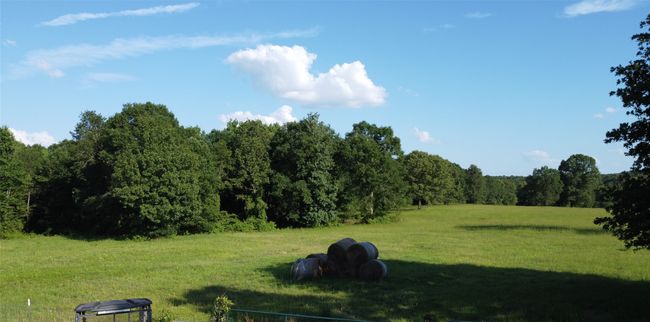 View of yard and a rural view | Image 10