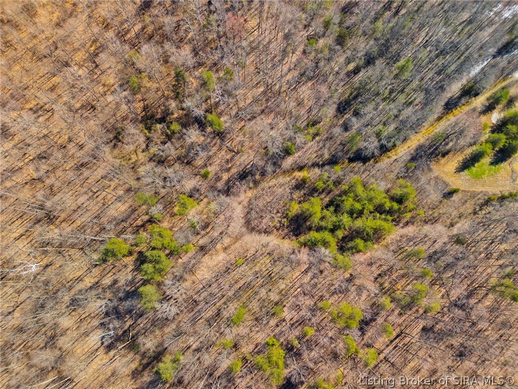 Land in Scottsburg 4