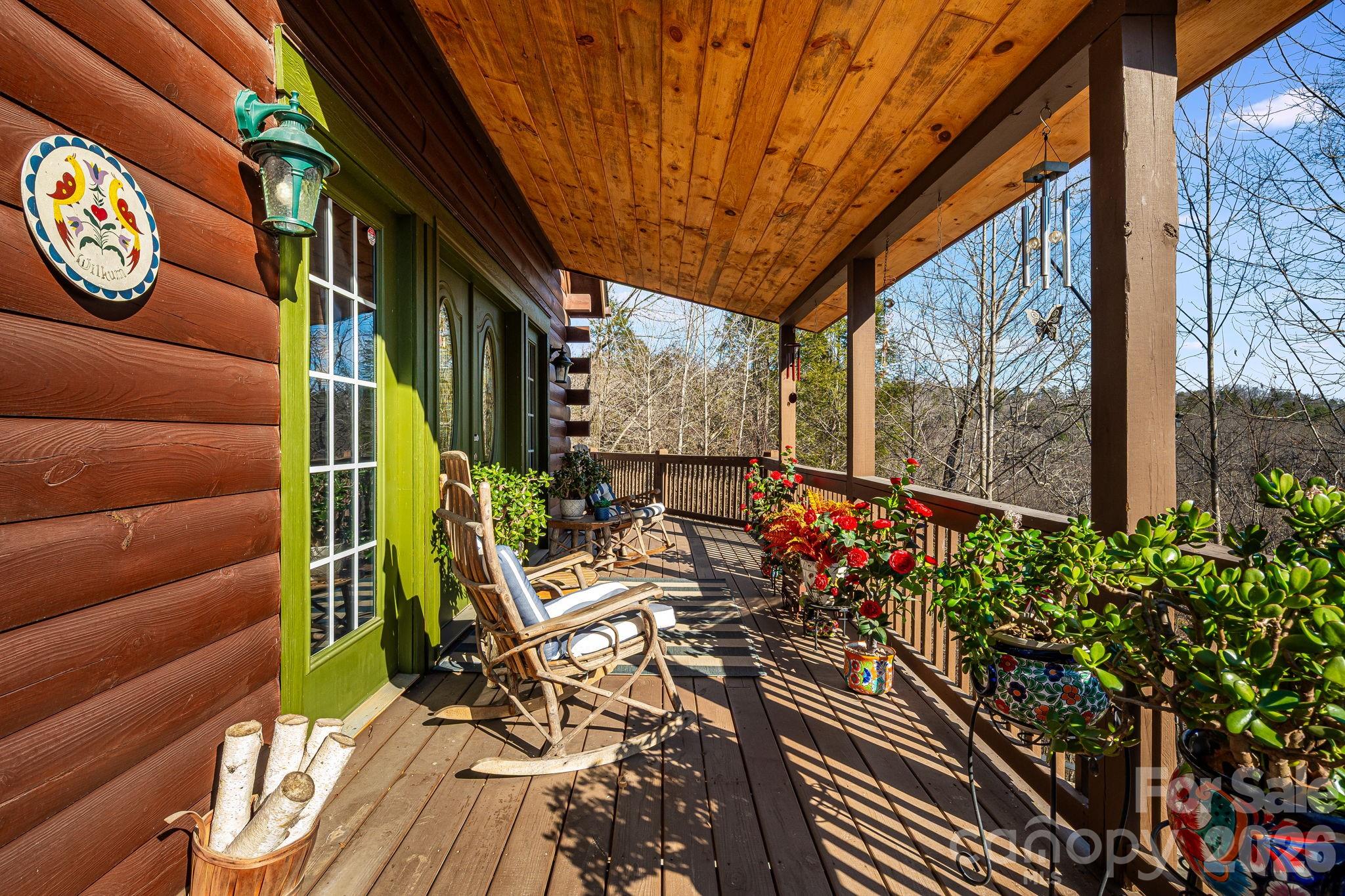 Residential in Lake Lure 3