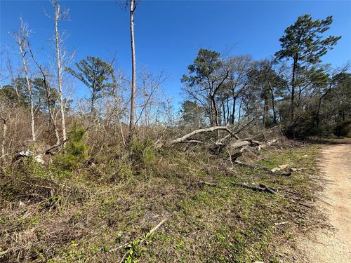 15957 Largent Dr, Plantersville, TX, 77363-8765 | Card Image
